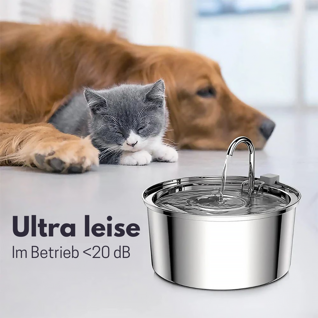 HydroCat™ – Der Vitale Trinkbrunnen für deine Katze