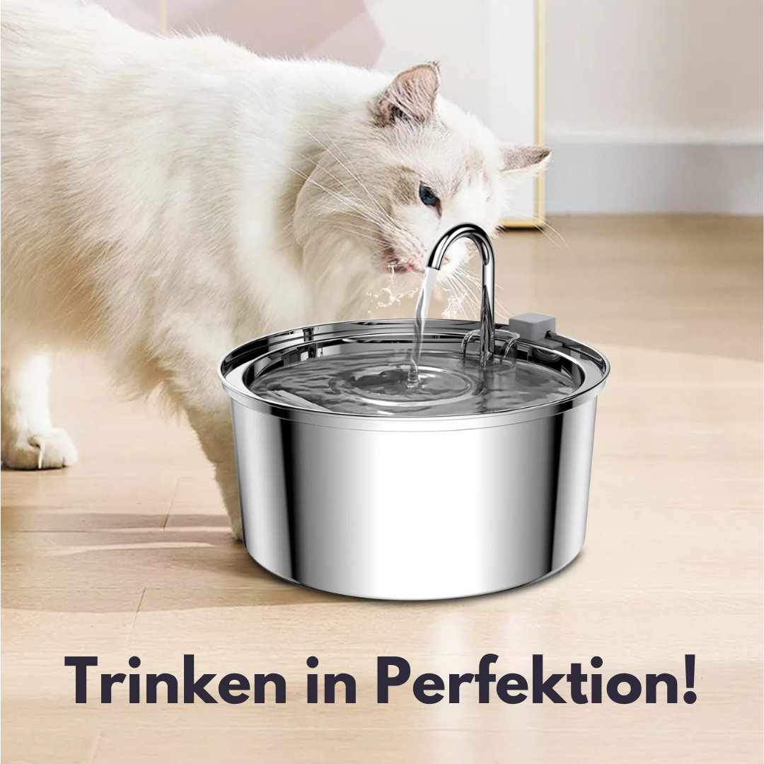 HydroCat™ – Der Vitale Trinkbrunnen für deine Katze