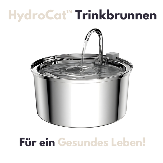 HydroCat™ – Der Vitale Trinkbrunnen für deine Katze